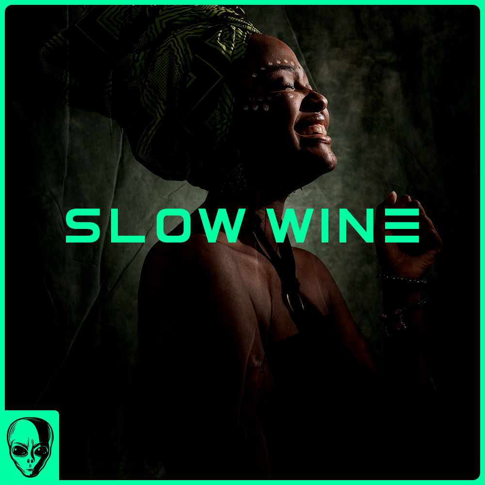 Slow Wine [Wizkid + Burna Boy Type Beat]